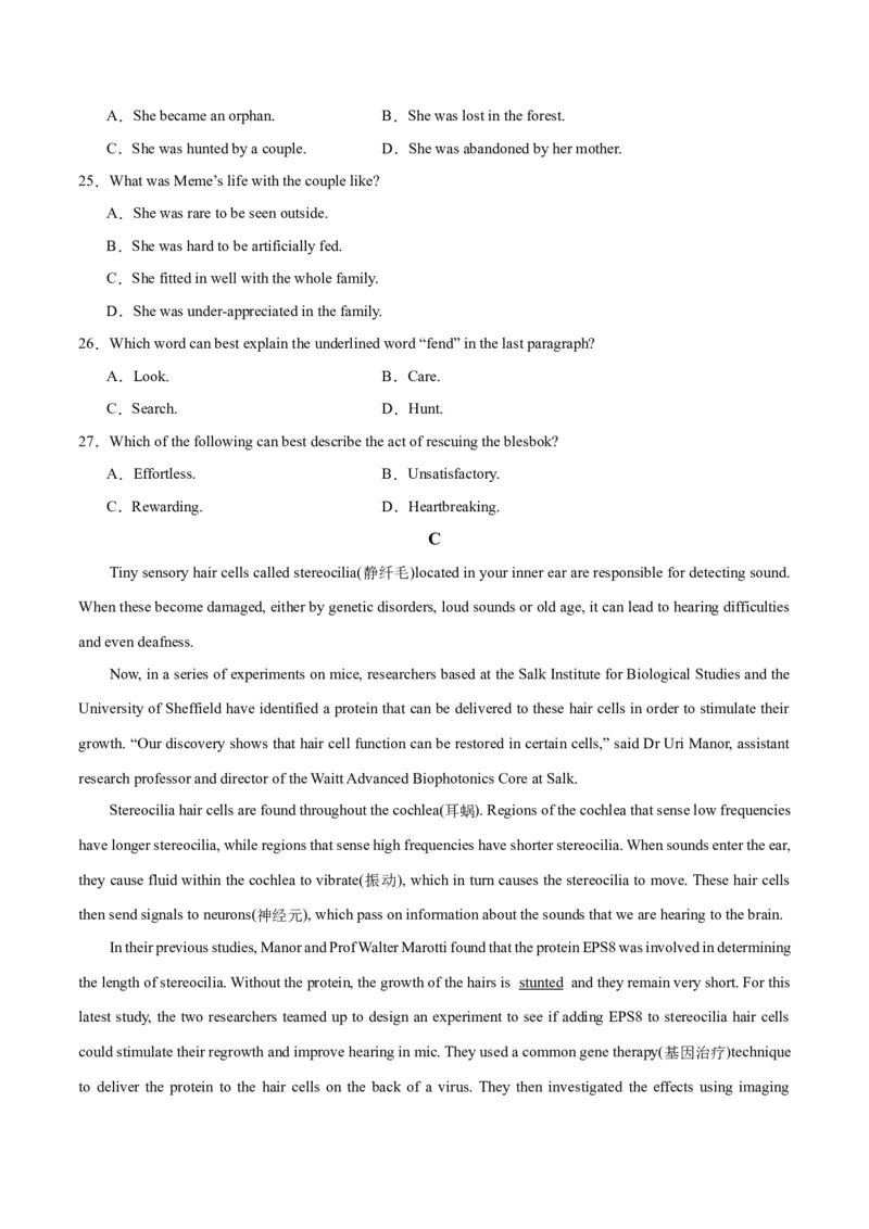 新高考II卷01（含听力）-2024年高考英语一轮复习测试卷（考试版）_3.2025英语总复习_2024年新高考资料_1.2024一轮复习_2024年高考英语一轮复习测试卷