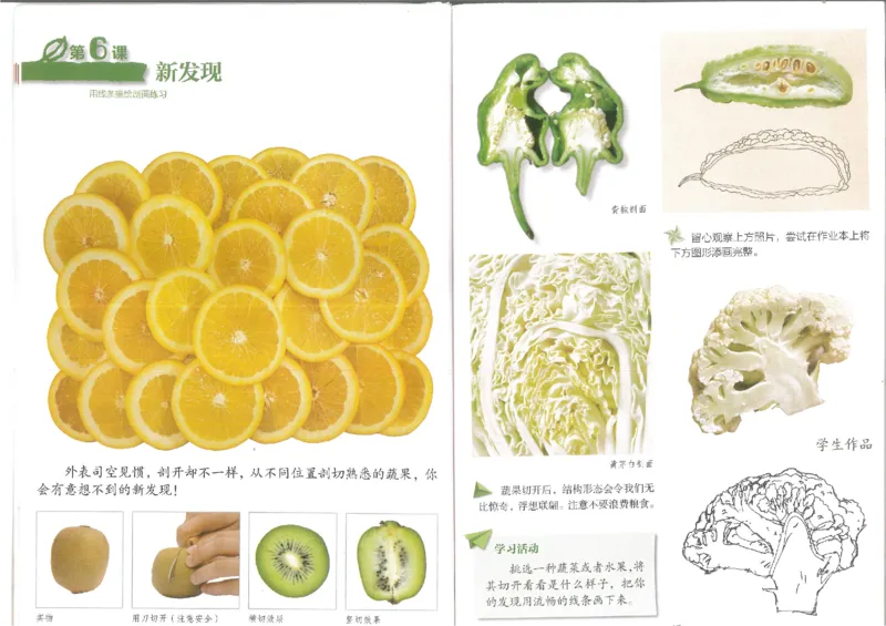 3年级上(1)_教资初高中_教资面试2025教资面试备考资料合集_教资面试资料合集_2025教资面试资料_25上教资面试-小学资料包_20教材：全册_小学_小学美术_小学湘美版