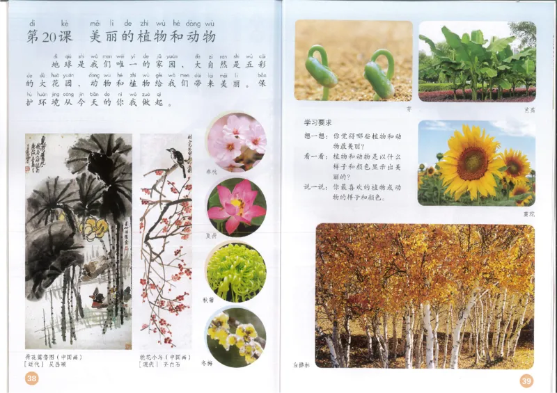 1年级上册(1)_教资初高中_教资面试2025教资面试备考资料合集_教资面试资料合集_2025教资面试资料_25上教资面试-小学资料包_20教材：全册_小学_小学美术_小学人教版