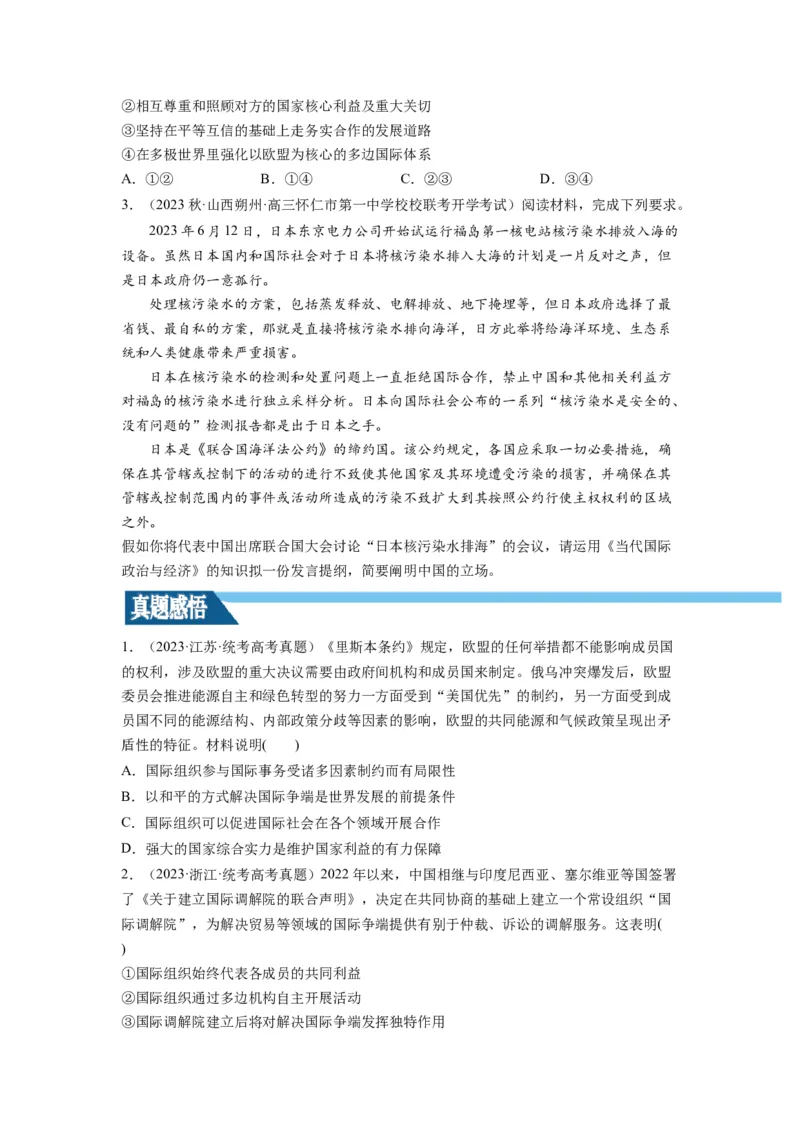 第08课主要的国际组织（讲义）（原卷版）_8.2025政治总复习_2024年新高考资料_1.2024一轮复习_2024年高考政治一轮复习讲练测（新教材新高考）_选择性必修1