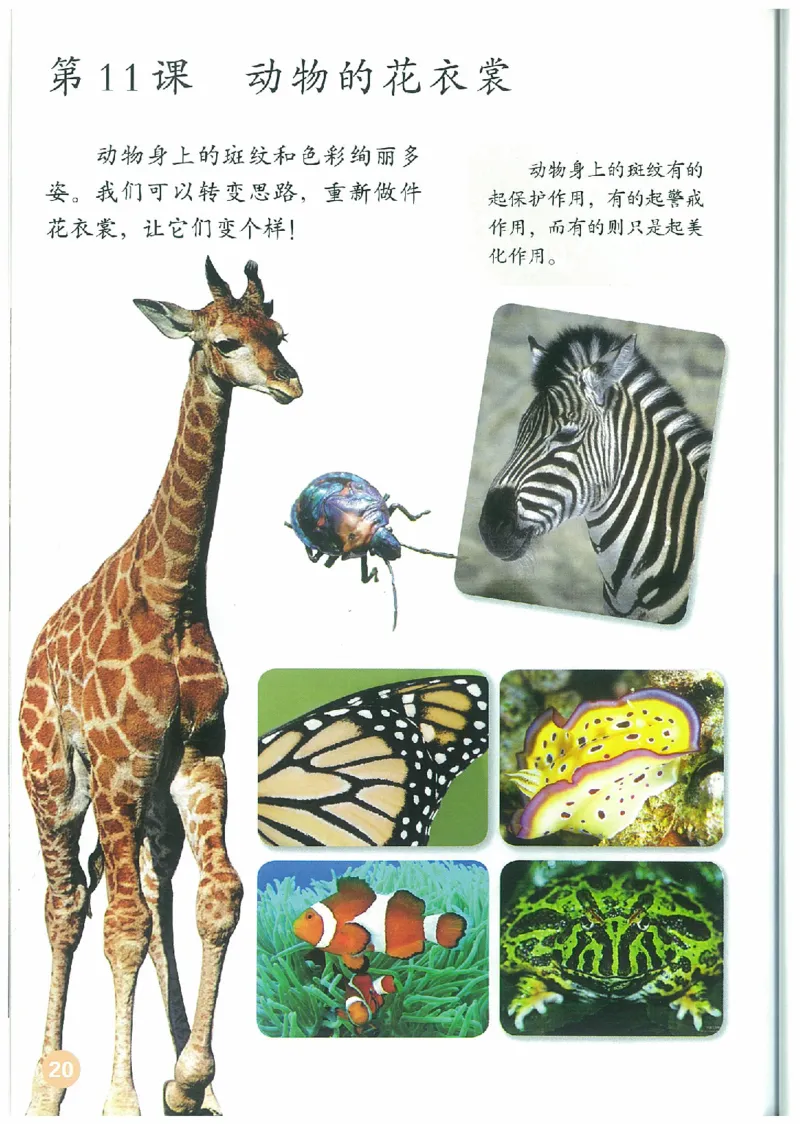 3年级下册(1)_教资初高中_教资面试2025教资面试备考资料合集_教资面试资料合集_2025教资面试资料_25上教资面试-小学资料包_20教材：全册_小学_小学美术_小学人教版