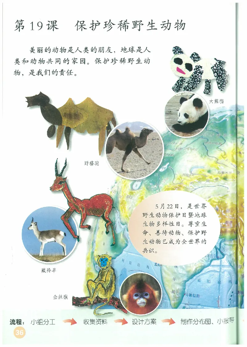 3年级下册(1)_教资初高中_教资面试2025教资面试备考资料合集_教资面试资料合集_2025教资面试资料_25上教资面试-小学资料包_20教材：全册_小学_小学美术_小学人教版