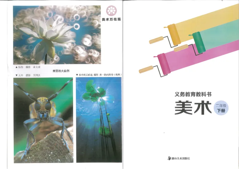 2年级下(1)_教资初高中_教资面试2025教资面试备考资料合集_教资面试资料合集_2025教资面试资料_25上教资面试-小学资料包_20教材：全册_小学_小学美术_小学湘美版
