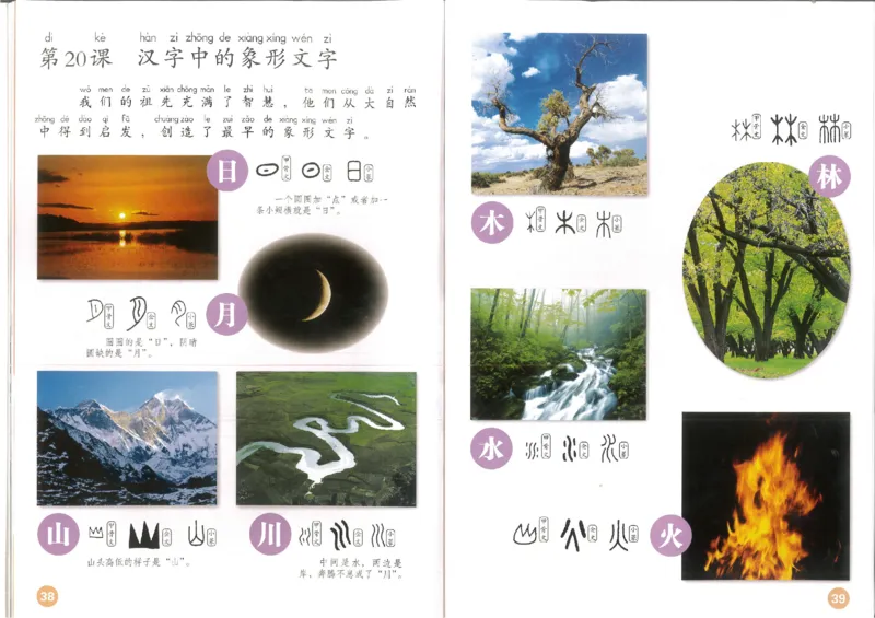 1年级下册(1)_教资初高中_教资面试2025教资面试备考资料合集_教资面试资料合集_2025教资面试资料_25上教资面试-小学资料包_20教材：全册_小学_小学美术_小学人教版