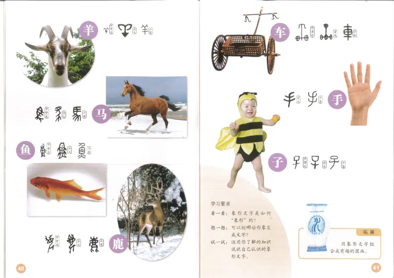 1年级下册(1)_教资初高中_教资面试2025教资面试备考资料合集_教资面试资料合集_2025教资面试资料_25上教资面试-小学资料包_20教材：全册_小学_小学美术_小学人教版