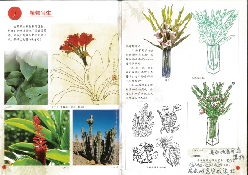 人美版小学美术四年级下册(1)_教资初高中_教资面试2025教资面试备考资料合集_教资面试资料合集_2025教资面试资料_25上教资面试-小学资料包_20教材：全册_小学_小学美术