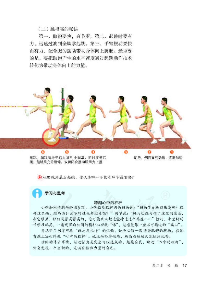 八年级全一册_教资初高中_教资面试2025教资面试备考资料合集_教资面试资料合集_2025教资面试资料_25上教资面试中学合集_教资面试逐字稿_初中体育重点资料包合集
