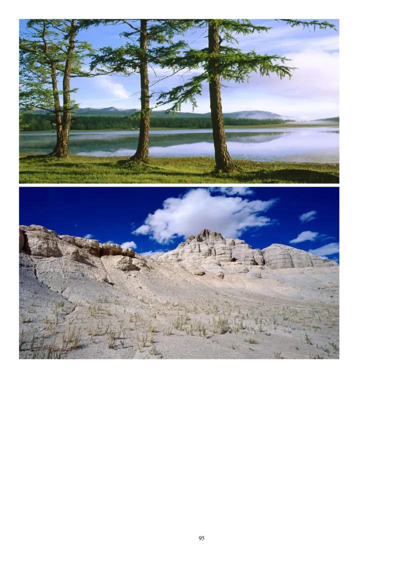 六下_教资初高中_教资面试2025教资面试备考资料合集_教资面试资料合集_2025教资面试资料_25上教资面试中学合集_教资面试逐字稿_补充文件夹_人教版_小学语文说课稿