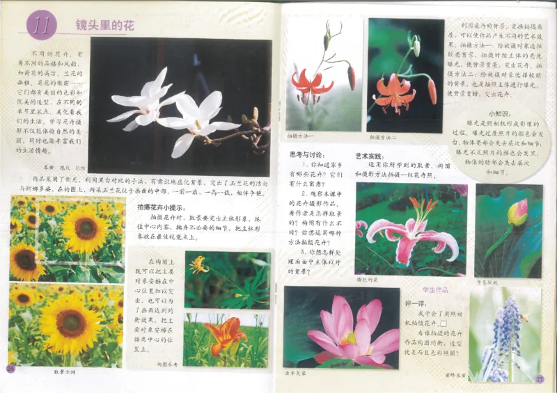 人美版小学美术六年级上册(1)_教资初高中_教资面试2025教资面试备考资料合集_教资面试资料合集_2025教资面试资料_25上教资面试-小学资料包_20教材：全册_小学_小学美术