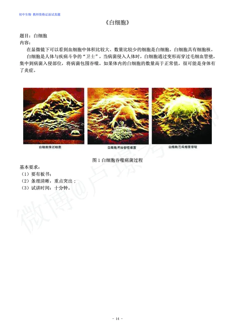 初中生物教师资格证面试练习题_教资初高中_教资面试2025教资面试备考资料合集_教资面试资料合集_4、教资面试真题汇总_学科面试真题及答案_卢姨汇总版