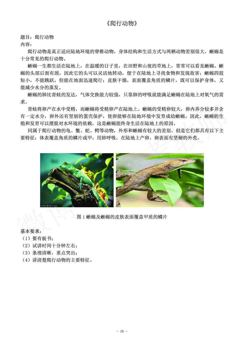 初中生物教师资格证面试练习题_教资初高中_教资面试2025教资面试备考资料合集_教资面试资料合集_4、教资面试真题汇总_学科面试真题及答案_卢姨汇总版