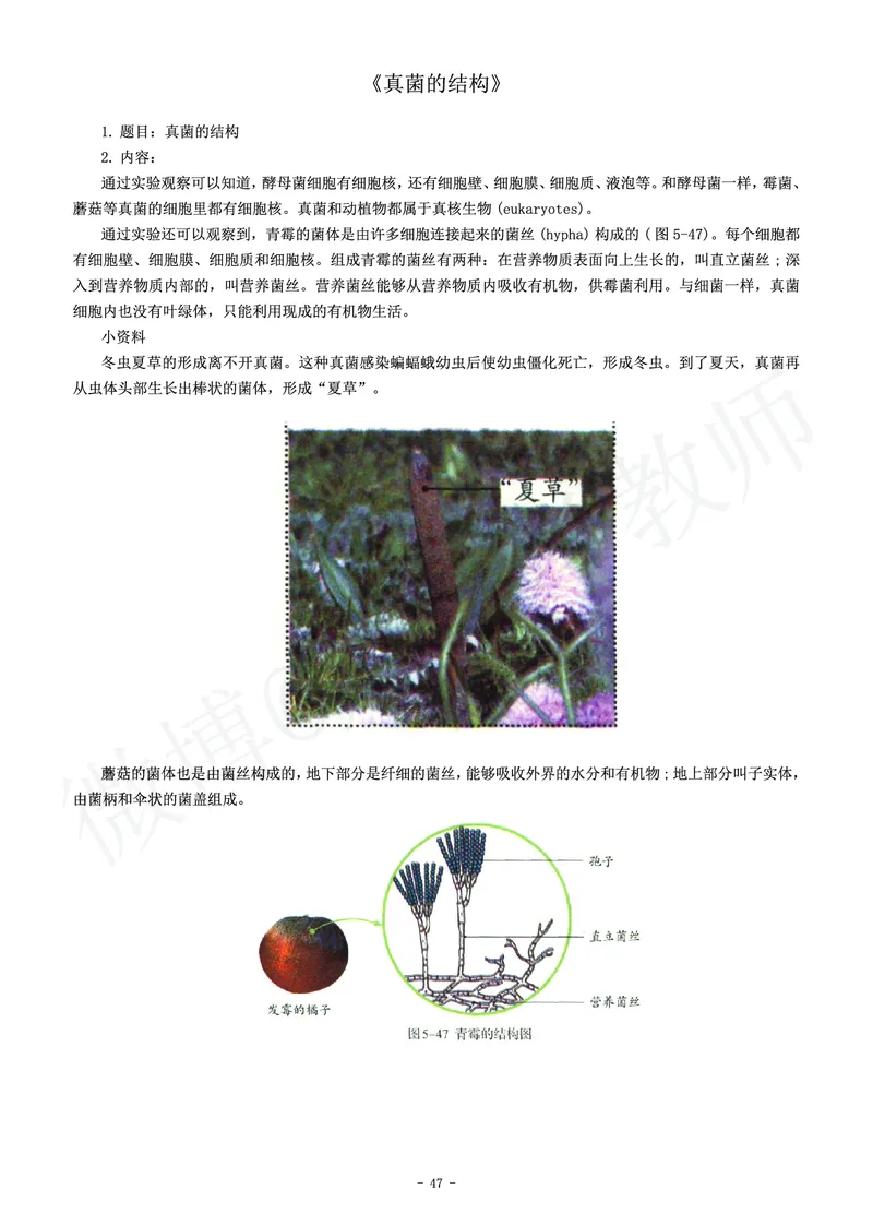 初中生物教师资格证面试练习题_教资初高中_教资面试2025教资面试备考资料合集_教资面试资料合集_4、教资面试真题汇总_学科面试真题及答案_卢姨汇总版