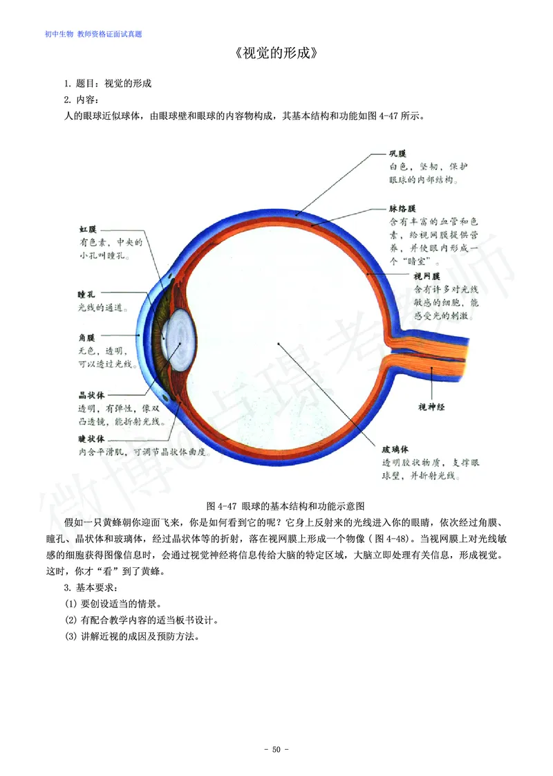 初中生物教师资格证面试练习题_教资初高中_教资面试2025教资面试备考资料合集_教资面试资料合集_4、教资面试真题汇总_学科面试真题及答案_卢姨汇总版