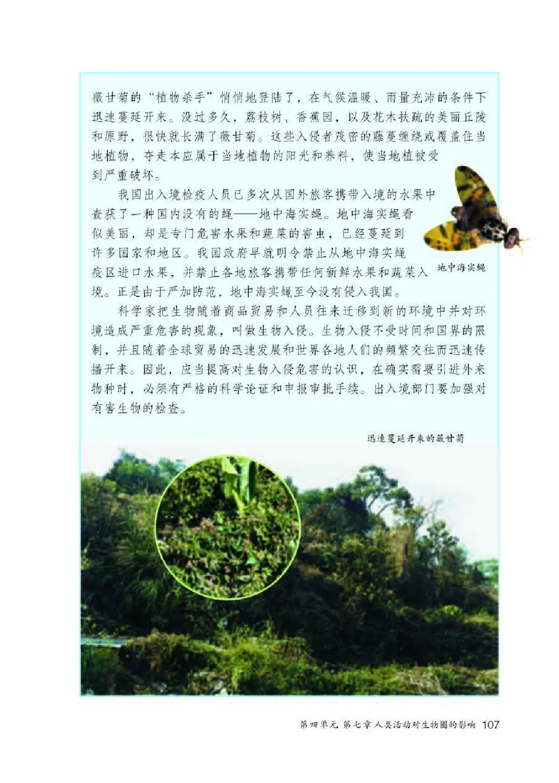 初中一年级下册生物_教资初高中_教资面试2025教资面试备考资料合集_教资面试资料合集_3、教资面试资料包大全_45大圣中小幼面试资料包_初中_生物_初中生物电子课本