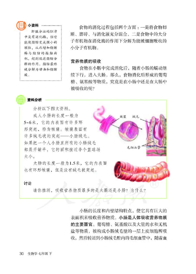 初中一年级下册生物_教资初高中_教资面试2025教资面试备考资料合集_教资面试资料合集_3、教资面试资料包大全_45大圣中小幼面试资料包_初中_生物_初中生物电子课本