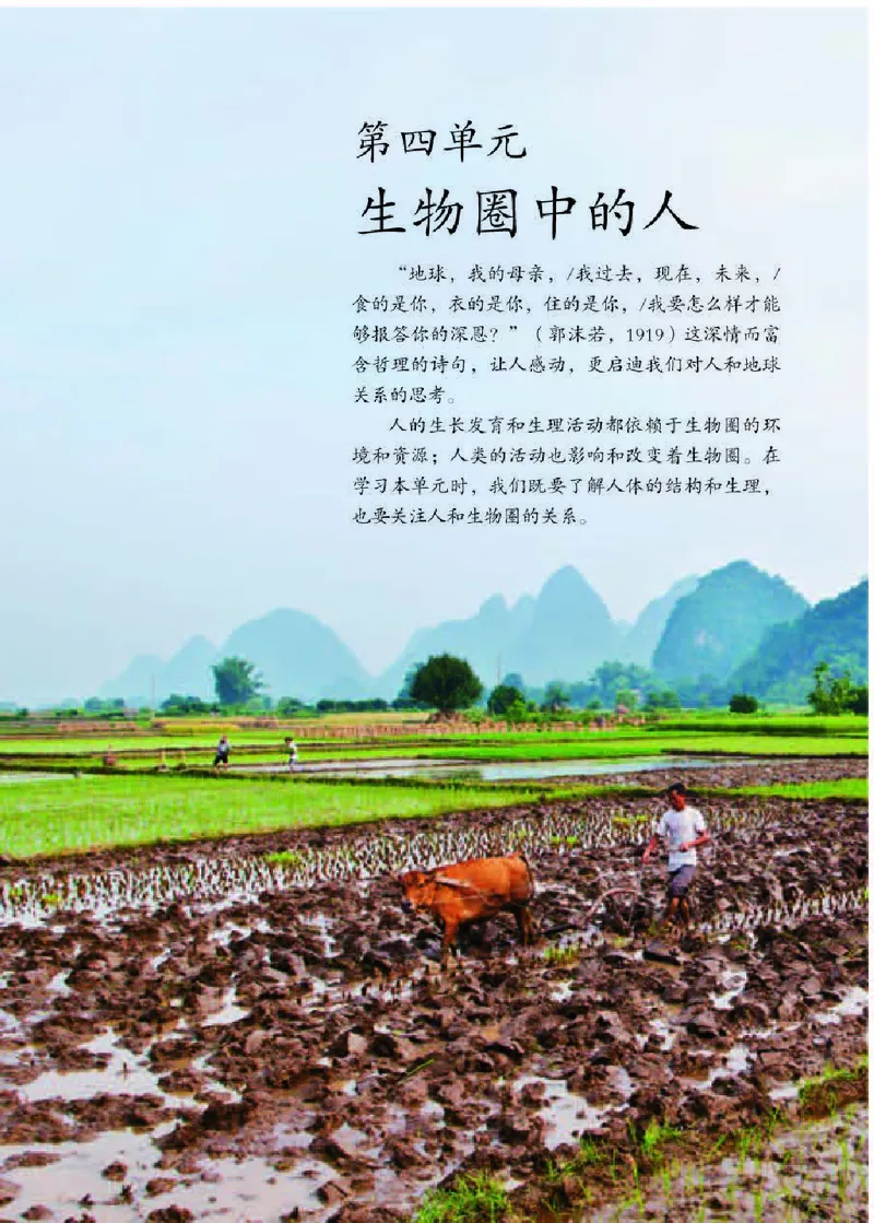 初中一年级下册生物_教资初高中_教资面试2025教资面试备考资料合集_教资面试资料合集_3、教资面试资料包大全_45大圣中小幼面试资料包_初中_生物_初中生物电子课本