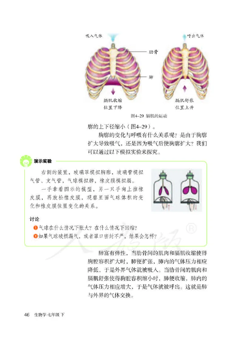 初中一年级下册生物_教资初高中_教资面试2025教资面试备考资料合集_教资面试资料合集_3、教资面试资料包大全_45大圣中小幼面试资料包_初中_生物_初中生物电子课本