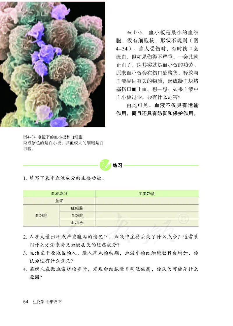 初中一年级下册生物_教资初高中_教资面试2025教资面试备考资料合集_教资面试资料合集_3、教资面试资料包大全_45大圣中小幼面试资料包_初中_生物_初中生物电子课本