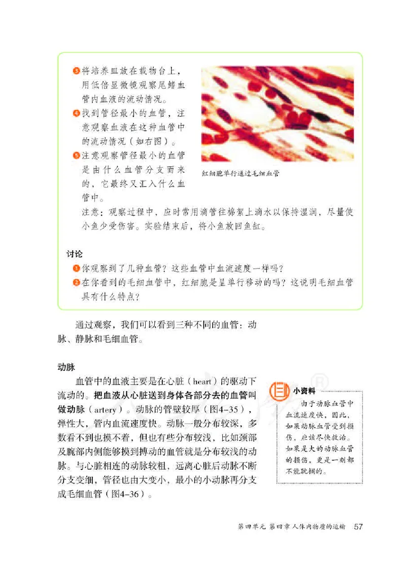 初中一年级下册生物_教资初高中_教资面试2025教资面试备考资料合集_教资面试资料合集_3、教资面试资料包大全_45大圣中小幼面试资料包_初中_生物_初中生物电子课本