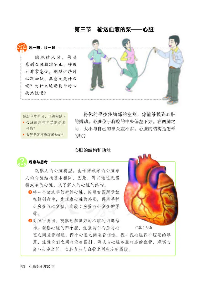 初中一年级下册生物_教资初高中_教资面试2025教资面试备考资料合集_教资面试资料合集_3、教资面试资料包大全_45大圣中小幼面试资料包_初中_生物_初中生物电子课本
