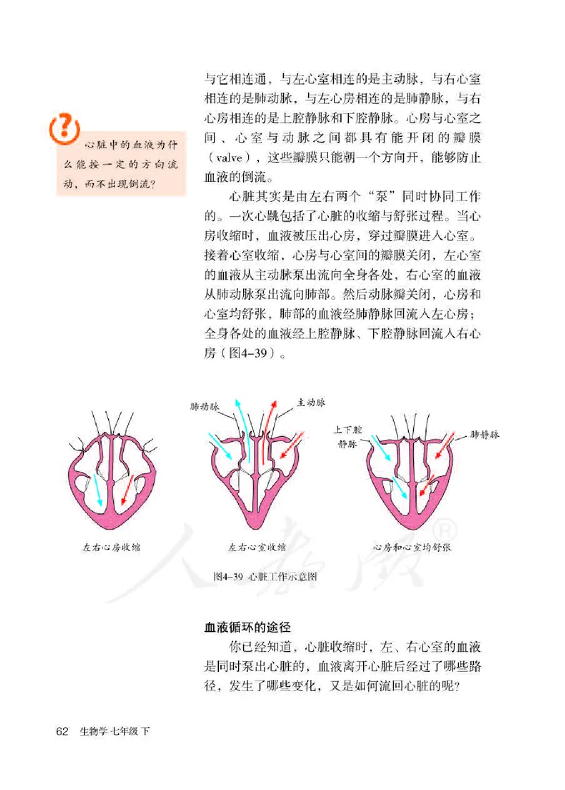 初中一年级下册生物_教资初高中_教资面试2025教资面试备考资料合集_教资面试资料合集_3、教资面试资料包大全_45大圣中小幼面试资料包_初中_生物_初中生物电子课本
