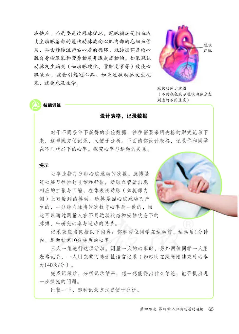 初中一年级下册生物_教资初高中_教资面试2025教资面试备考资料合集_教资面试资料合集_3、教资面试资料包大全_45大圣中小幼面试资料包_初中_生物_初中生物电子课本