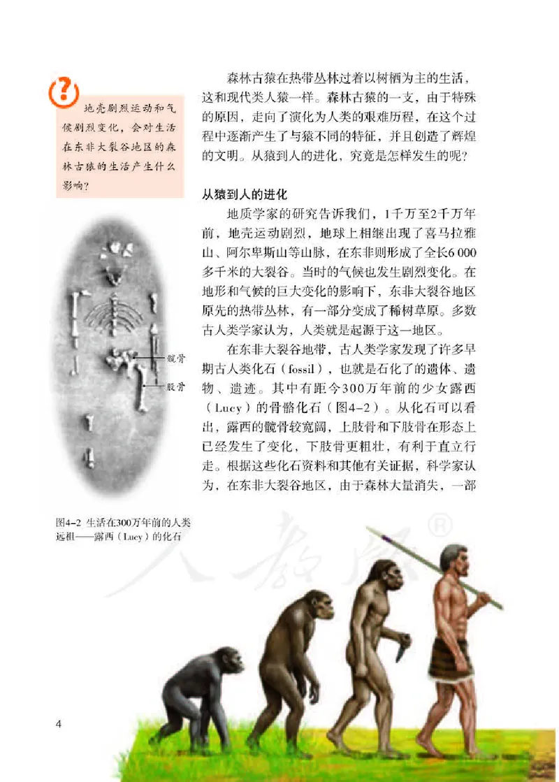 初中一年级下册生物_教资初高中_教资面试2025教资面试备考资料合集_教资面试资料合集_3、教资面试资料包大全_45大圣中小幼面试资料包_初中_生物_初中生物电子课本