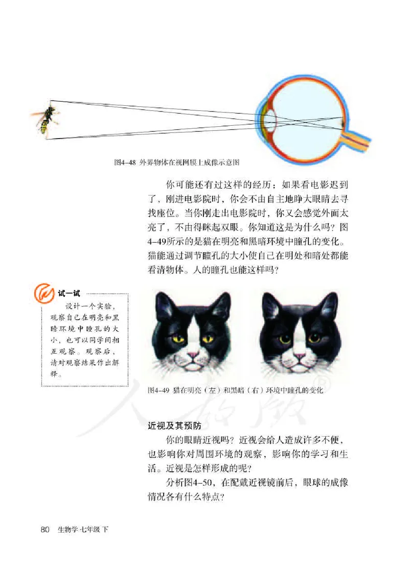 初中一年级下册生物_教资初高中_教资面试2025教资面试备考资料合集_教资面试资料合集_3、教资面试资料包大全_45大圣中小幼面试资料包_初中_生物_初中生物电子课本