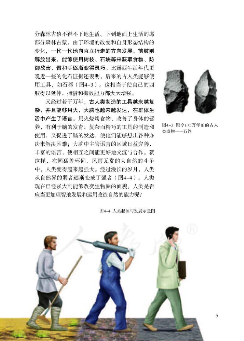 初中一年级下册生物_教资初高中_教资面试2025教资面试备考资料合集_教资面试资料合集_3、教资面试资料包大全_45大圣中小幼面试资料包_初中_生物_初中生物电子课本