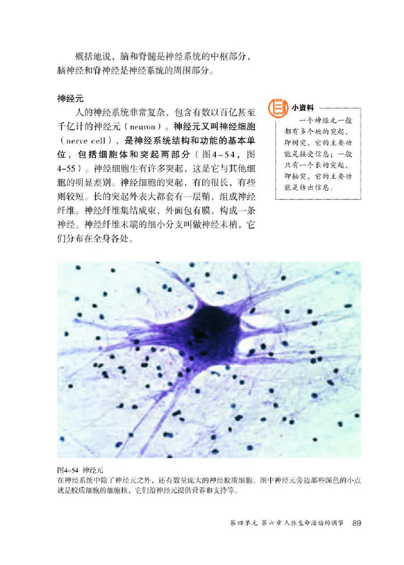 初中一年级下册生物_教资初高中_教资面试2025教资面试备考资料合集_教资面试资料合集_3、教资面试资料包大全_45大圣中小幼面试资料包_初中_生物_初中生物电子课本