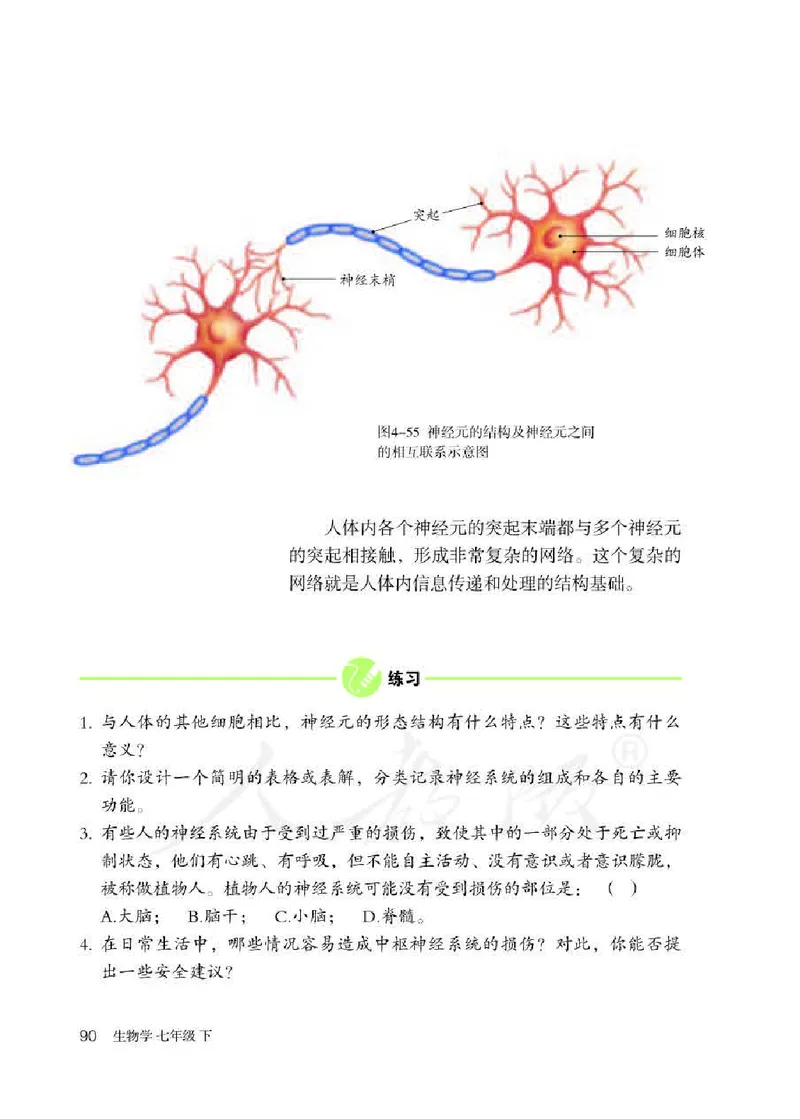 初中一年级下册生物_教资初高中_教资面试2025教资面试备考资料合集_教资面试资料合集_3、教资面试资料包大全_45大圣中小幼面试资料包_初中_生物_初中生物电子课本