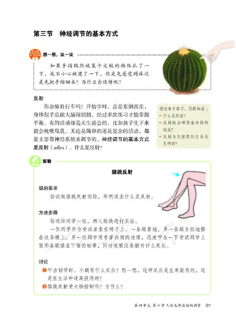 初中一年级下册生物_教资初高中_教资面试2025教资面试备考资料合集_教资面试资料合集_3、教资面试资料包大全_45大圣中小幼面试资料包_初中_生物_初中生物电子课本