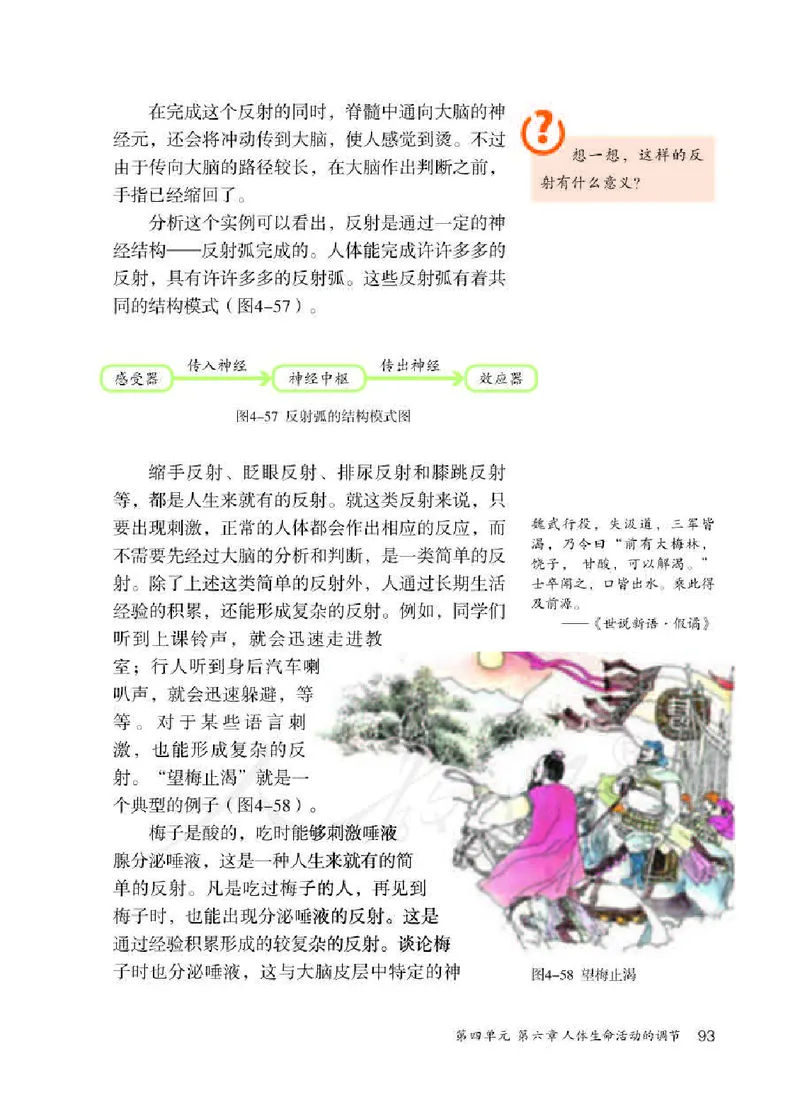 初中一年级下册生物_教资初高中_教资面试2025教资面试备考资料合集_教资面试资料合集_3、教资面试资料包大全_45大圣中小幼面试资料包_初中_生物_初中生物电子课本