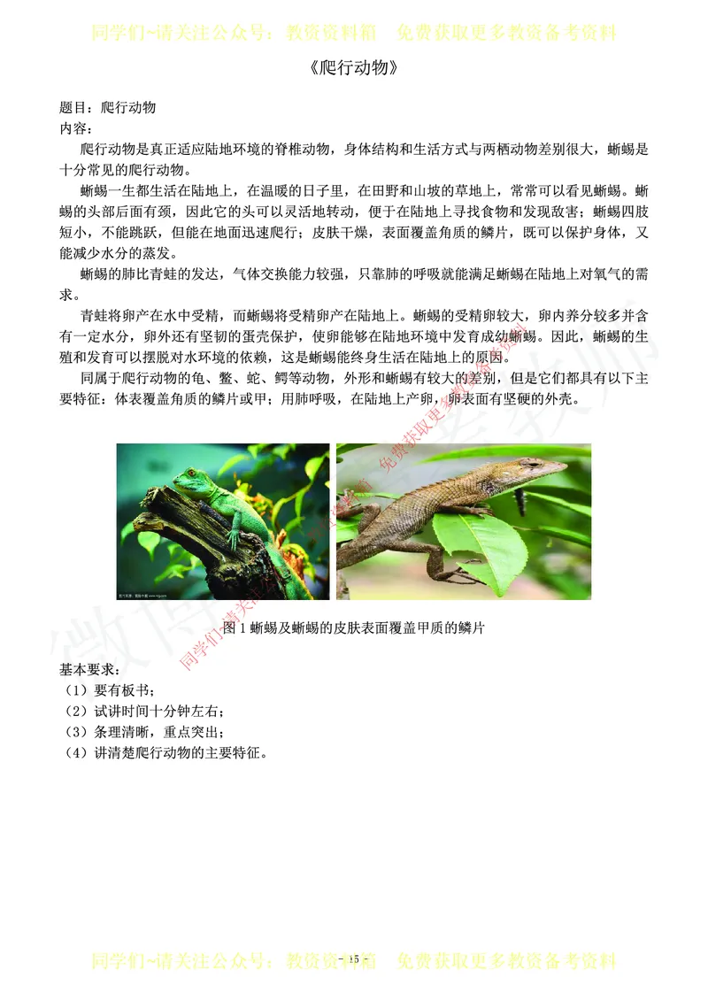 初中生物教师资格证面试练习题_教资初高中_教资面试2025教资面试备考资料合集_教资面试资料合集_2025教资面试资料_卢姨教资面试真题汇总版