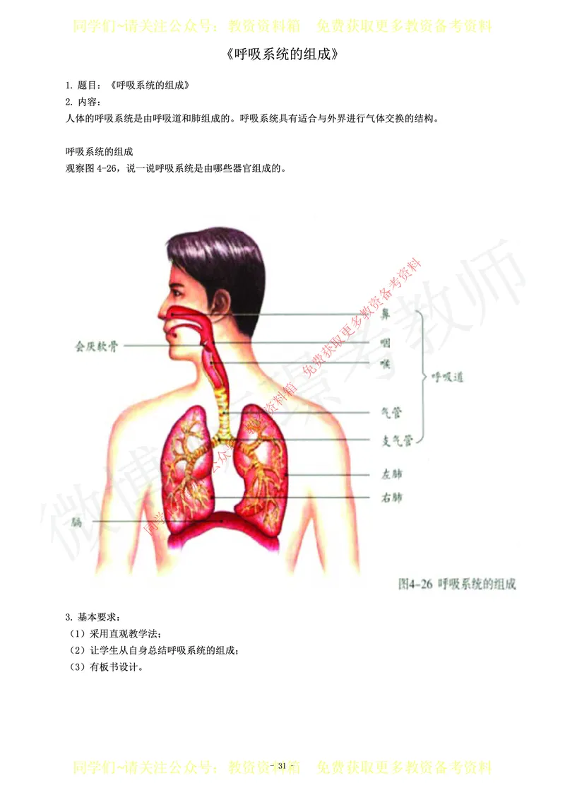 初中生物教师资格证面试练习题_教资初高中_教资面试2025教资面试备考资料合集_教资面试资料合集_2025教资面试资料_卢姨教资面试真题汇总版