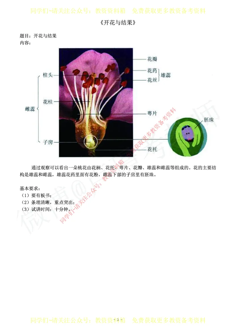 初中生物教师资格证面试练习题_教资初高中_教资面试2025教资面试备考资料合集_教资面试资料合集_2025教资面试资料_卢姨教资面试真题汇总版