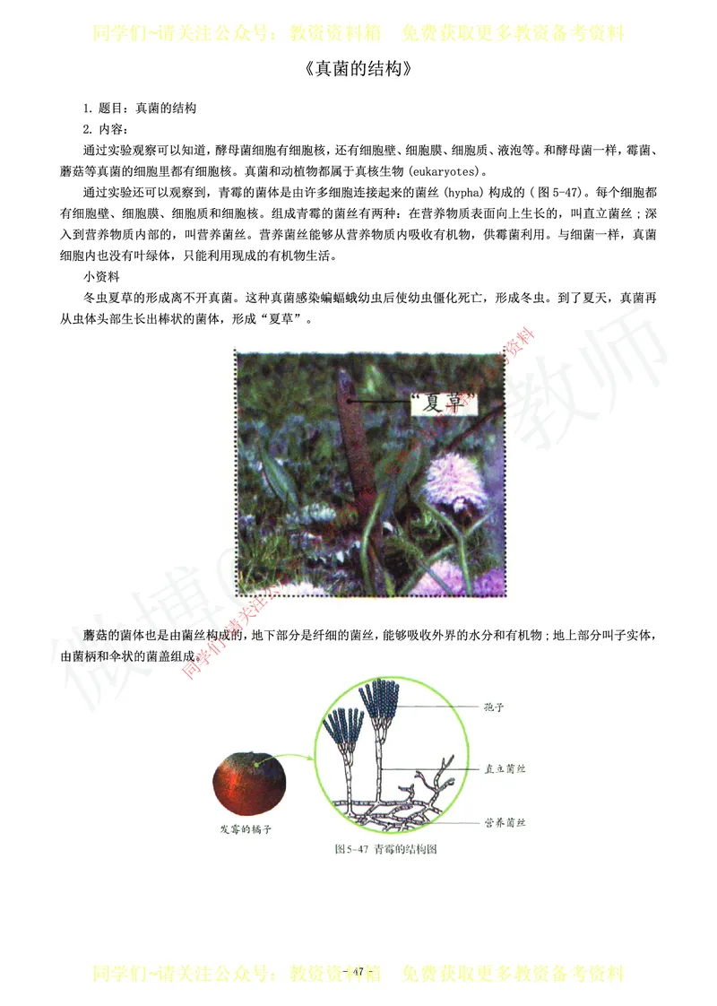 初中生物教师资格证面试练习题_教资初高中_教资面试2025教资面试备考资料合集_教资面试资料合集_2025教资面试资料_卢姨教资面试真题汇总版