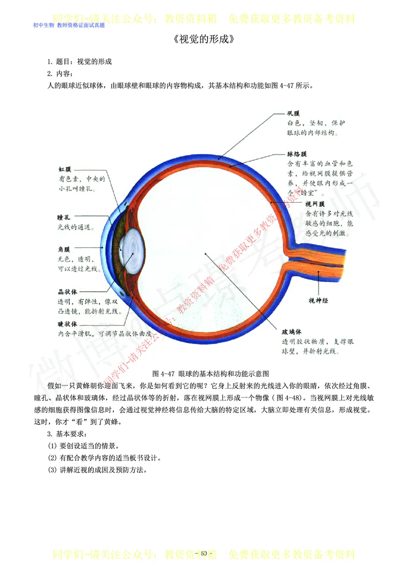 初中生物教师资格证面试练习题_教资初高中_教资面试2025教资面试备考资料合集_教资面试资料合集_2025教资面试资料_卢姨教资面试真题汇总版
