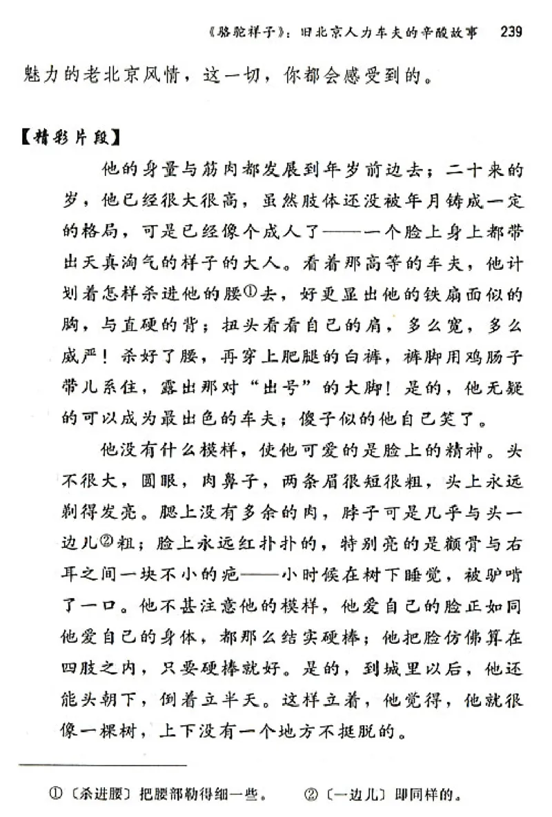 八年级语文上电子课本(1)_教资初高中_教资面试2025教资面试备考资料合集_教资面试资料合集_2025教资面试资料_25上教资面试-小学资料包_20教材：全册_初中_初中语文