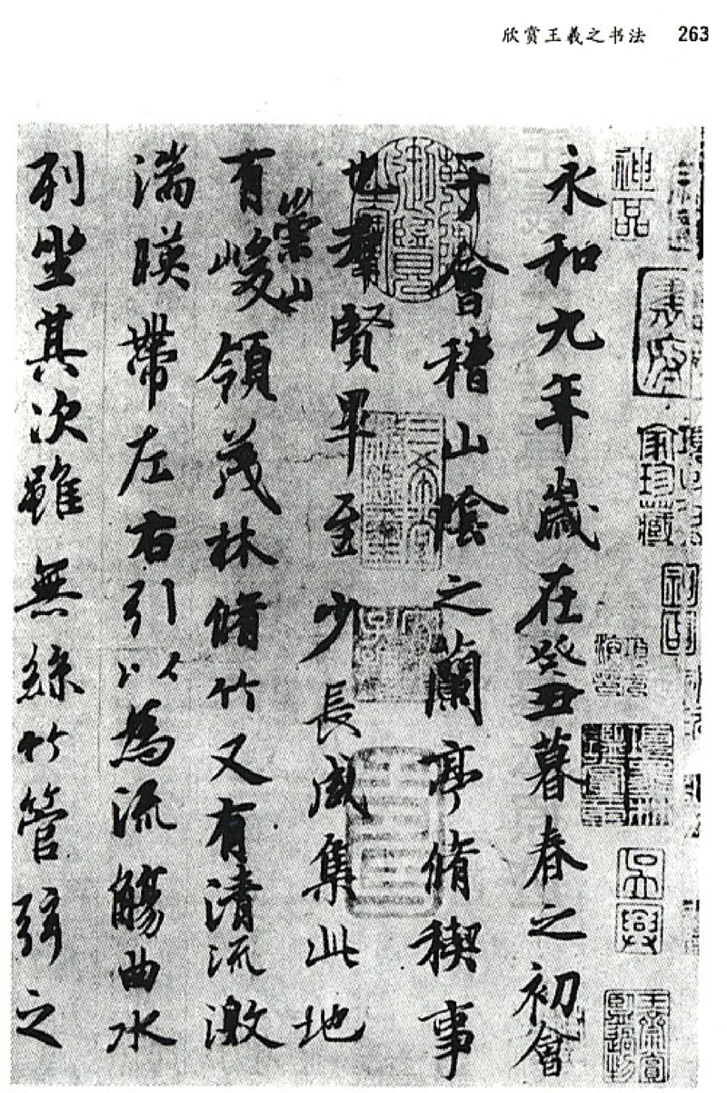 八年级语文上电子课本(1)_教资初高中_教资面试2025教资面试备考资料合集_教资面试资料合集_2025教资面试资料_25上教资面试-小学资料包_20教材：全册_初中_初中语文