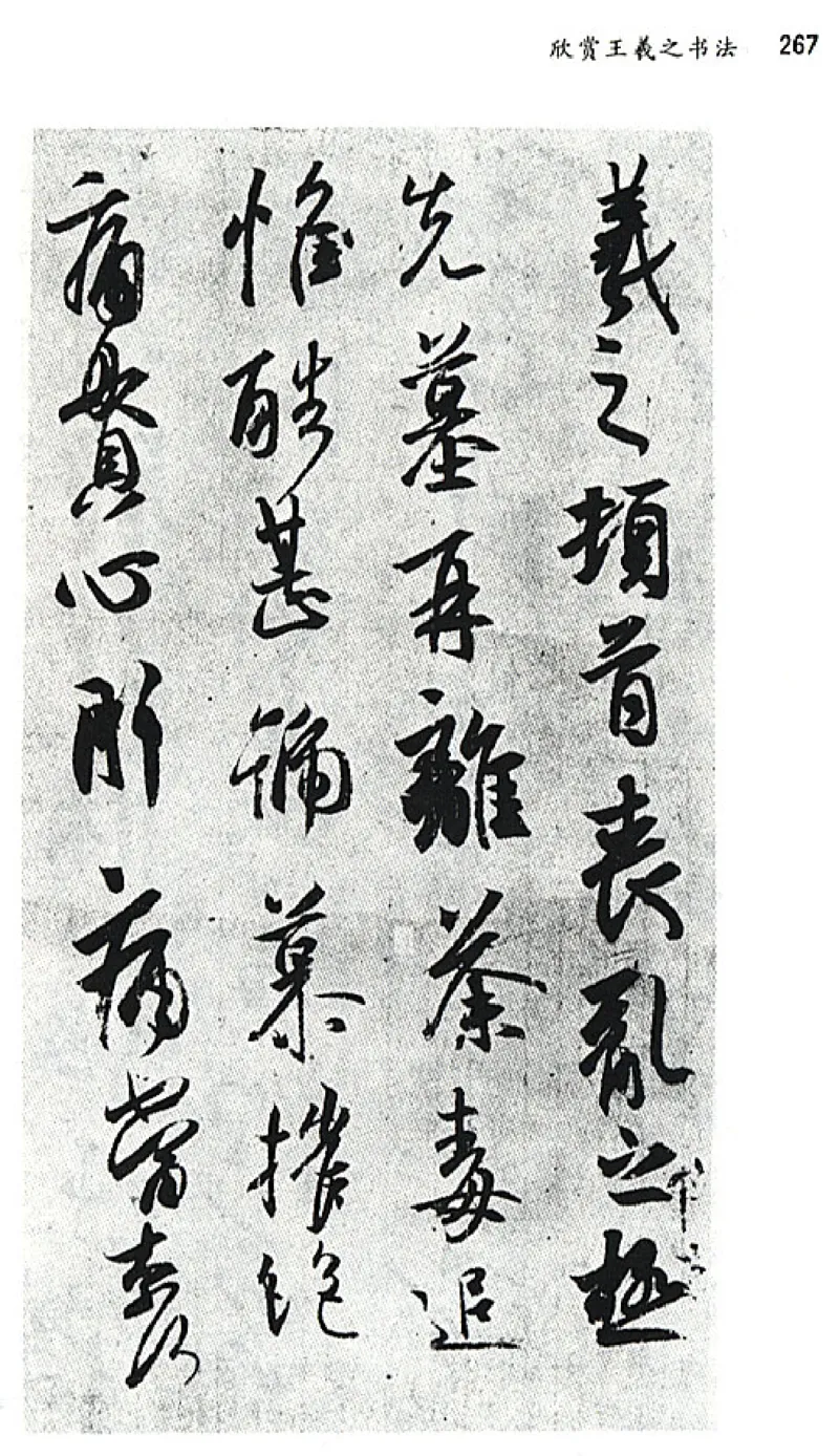 八年级语文上电子课本(1)_教资初高中_教资面试2025教资面试备考资料合集_教资面试资料合集_2025教资面试资料_25上教资面试-小学资料包_20教材：全册_初中_初中语文