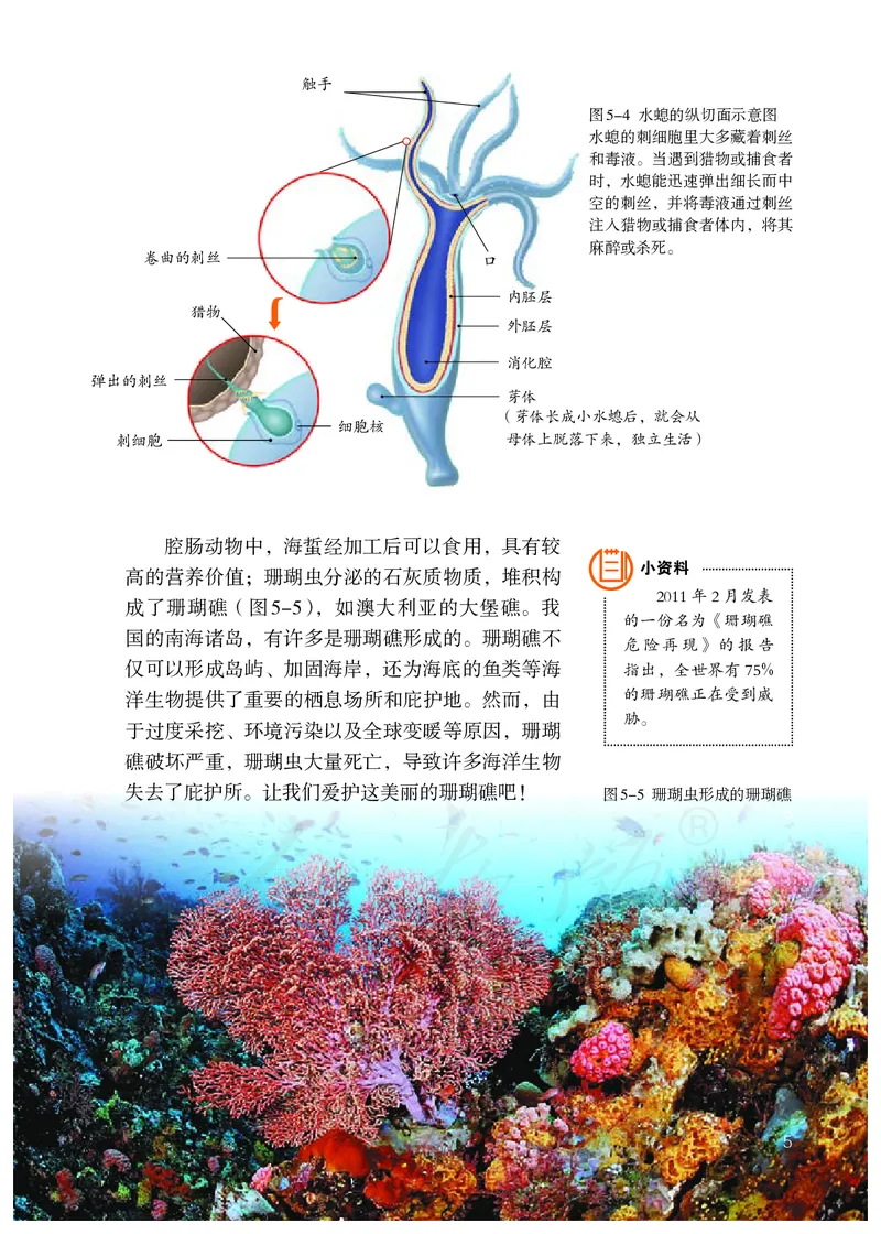 初中二年级上册生物_教资初高中_教资面试2025教资面试备考资料合集_教资面试资料合集_3、教资面试资料包大全_45大圣中小幼面试资料包_初中_生物_初中生物电子课本