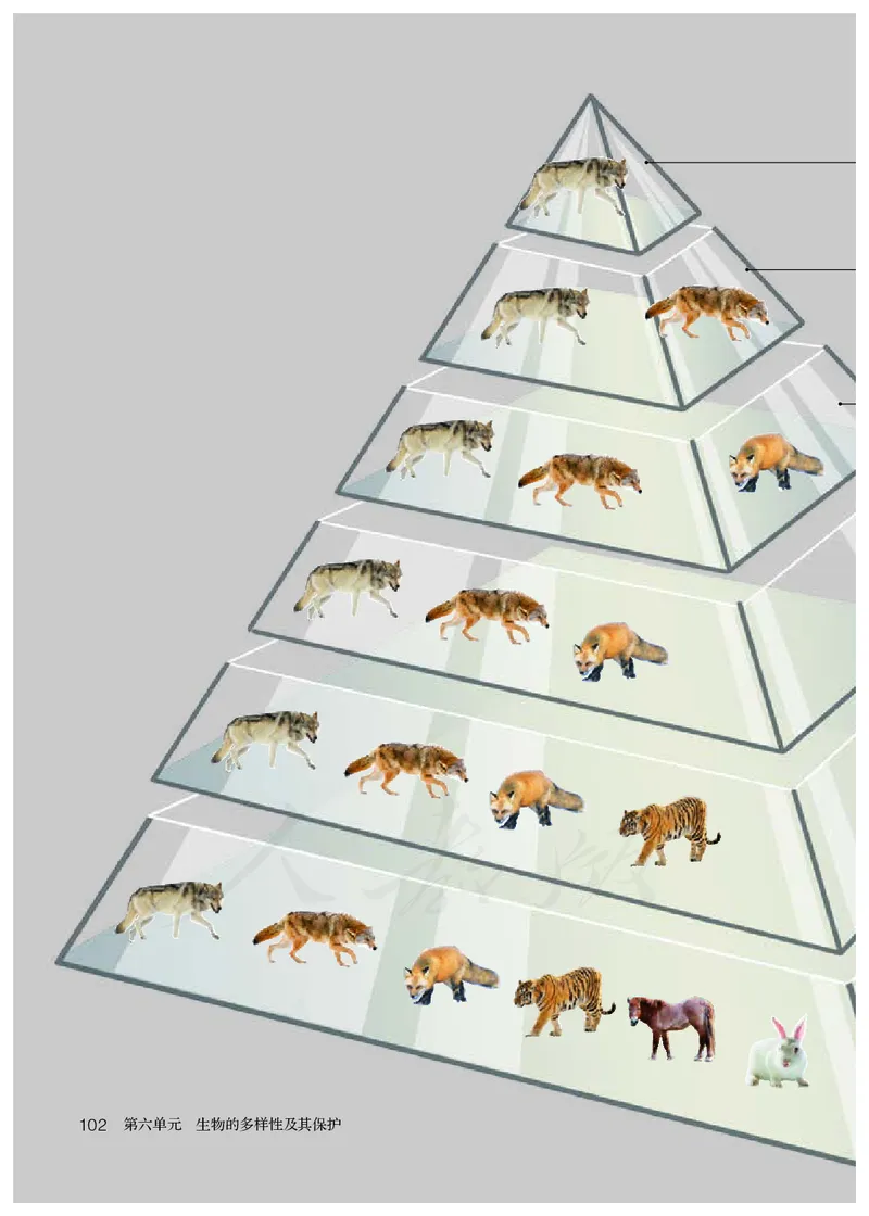 初中二年级上册生物_教资初高中_教资面试2025教资面试备考资料合集_教资面试资料合集_3、教资面试资料包大全_45大圣中小幼面试资料包_初中_生物_初中生物电子课本