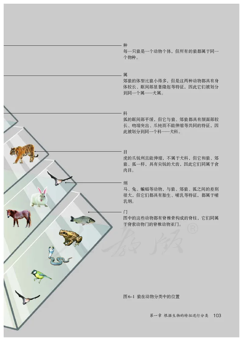 初中二年级上册生物_教资初高中_教资面试2025教资面试备考资料合集_教资面试资料合集_3、教资面试资料包大全_45大圣中小幼面试资料包_初中_生物_初中生物电子课本