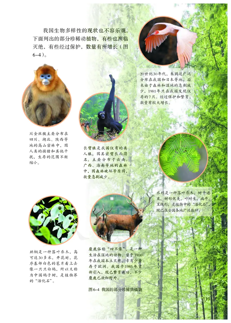 初中二年级上册生物_教资初高中_教资面试2025教资面试备考资料合集_教资面试资料合集_3、教资面试资料包大全_45大圣中小幼面试资料包_初中_生物_初中生物电子课本