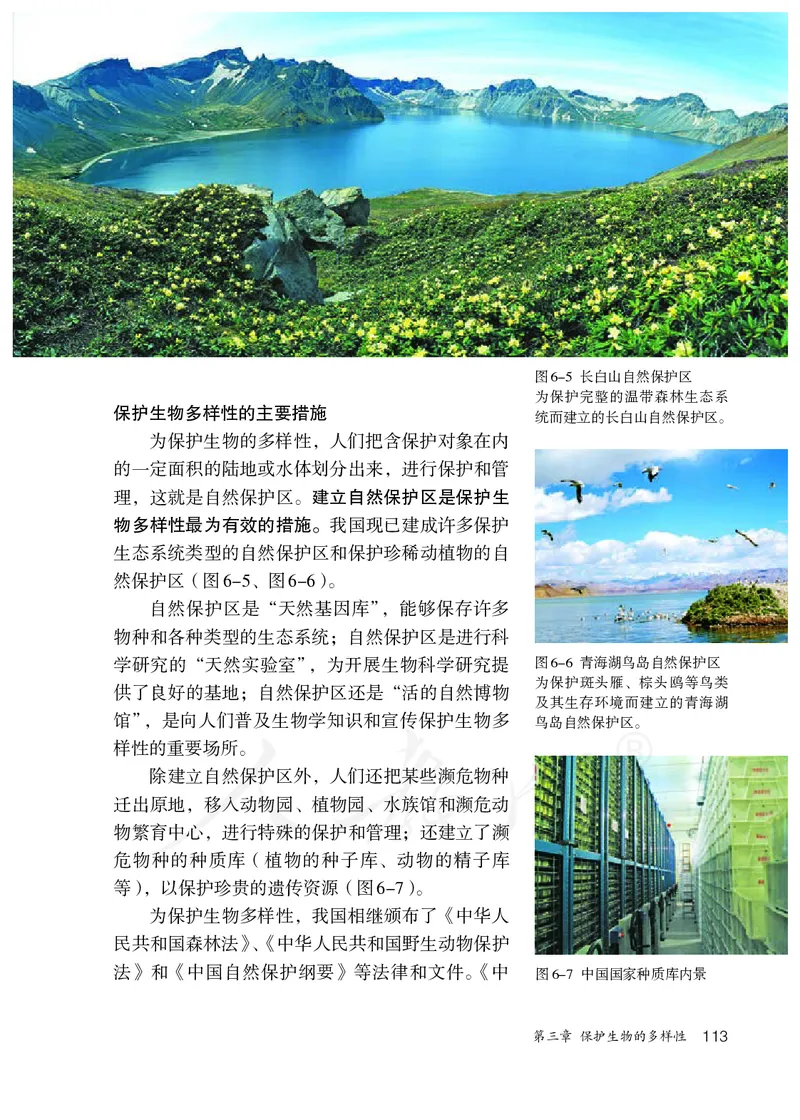 初中二年级上册生物_教资初高中_教资面试2025教资面试备考资料合集_教资面试资料合集_3、教资面试资料包大全_45大圣中小幼面试资料包_初中_生物_初中生物电子课本