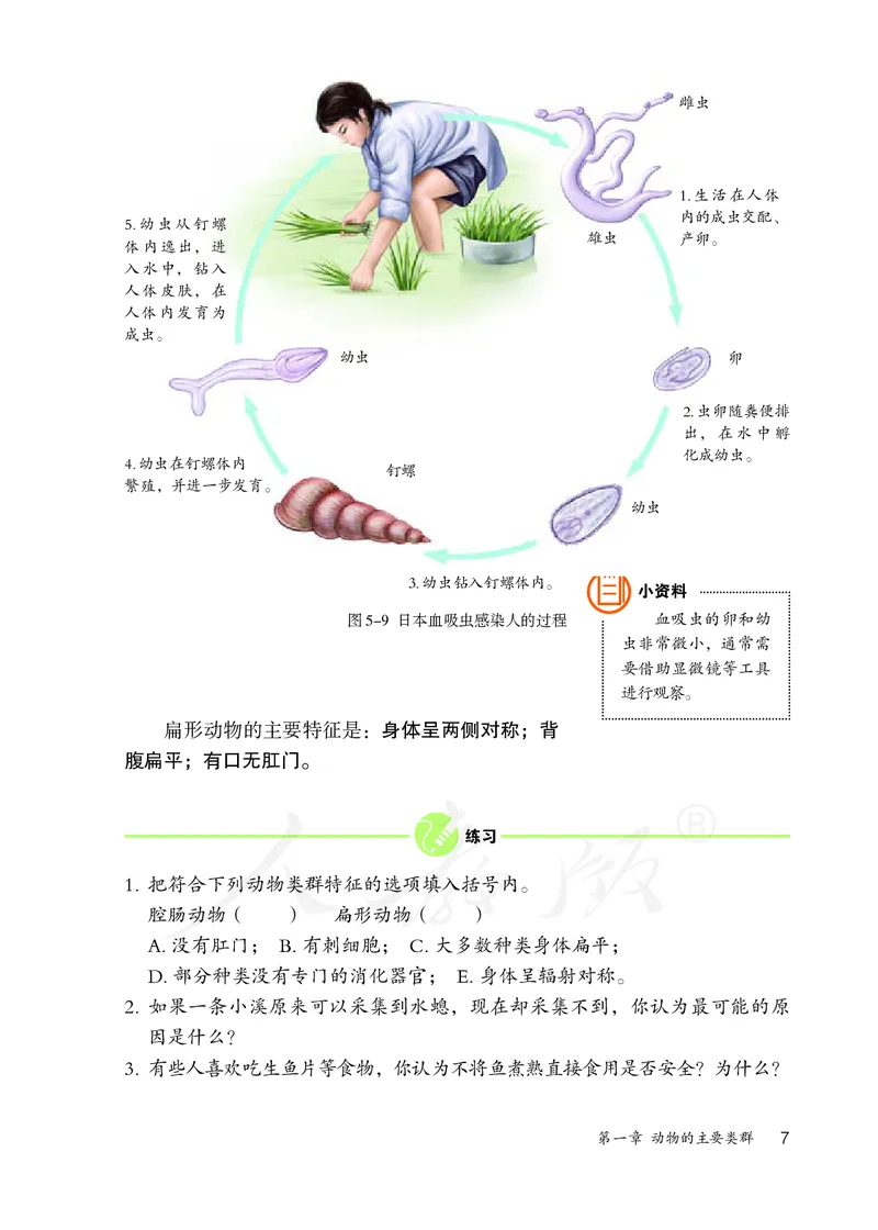 初中二年级上册生物_教资初高中_教资面试2025教资面试备考资料合集_教资面试资料合集_3、教资面试资料包大全_45大圣中小幼面试资料包_初中_生物_初中生物电子课本