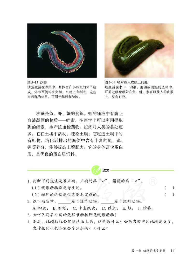 初中二年级上册生物_教资初高中_教资面试2025教资面试备考资料合集_教资面试资料合集_3、教资面试资料包大全_45大圣中小幼面试资料包_初中_生物_初中生物电子课本