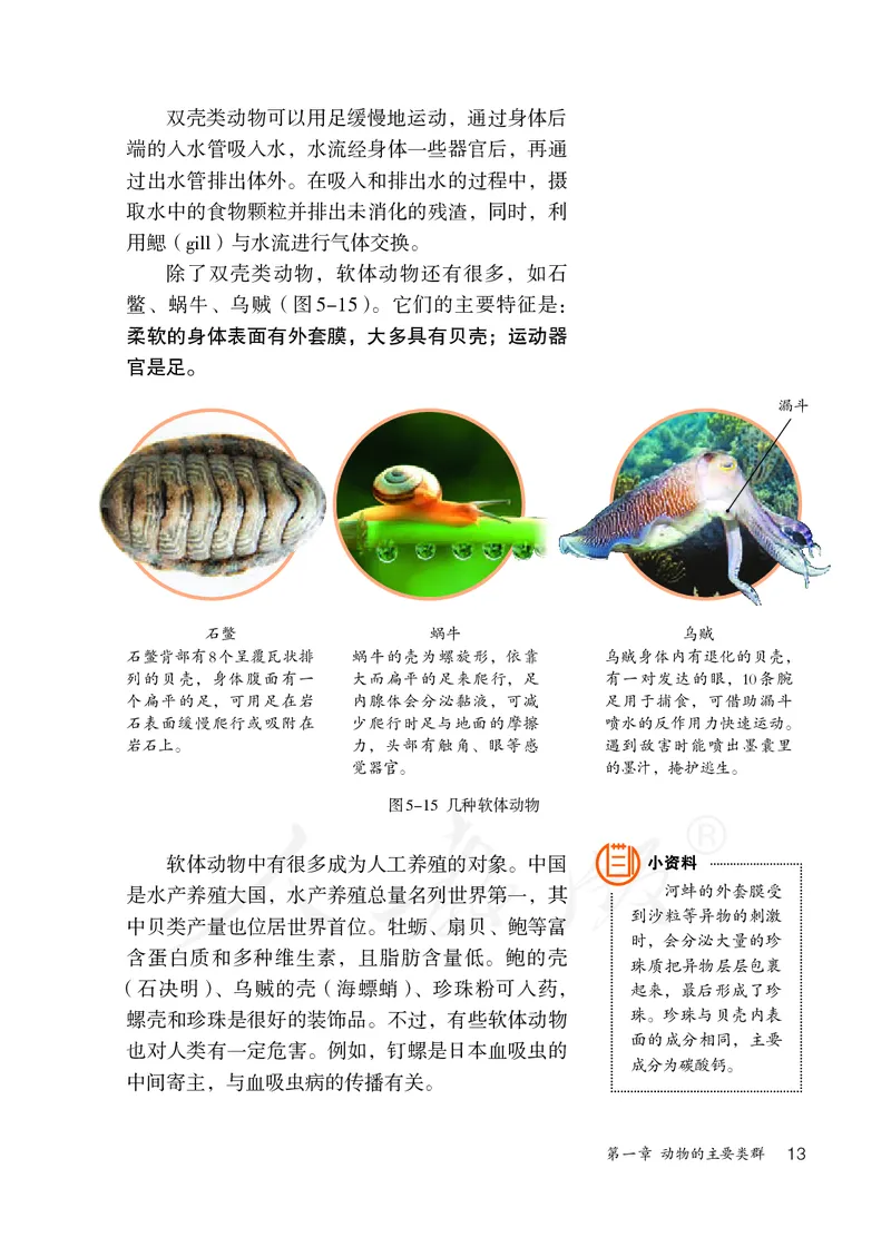 初中二年级上册生物_教资初高中_教资面试2025教资面试备考资料合集_教资面试资料合集_3、教资面试资料包大全_45大圣中小幼面试资料包_初中_生物_初中生物电子课本