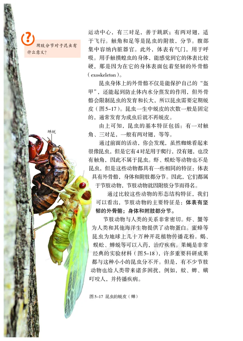 初中二年级上册生物_教资初高中_教资面试2025教资面试备考资料合集_教资面试资料合集_3、教资面试资料包大全_45大圣中小幼面试资料包_初中_生物_初中生物电子课本